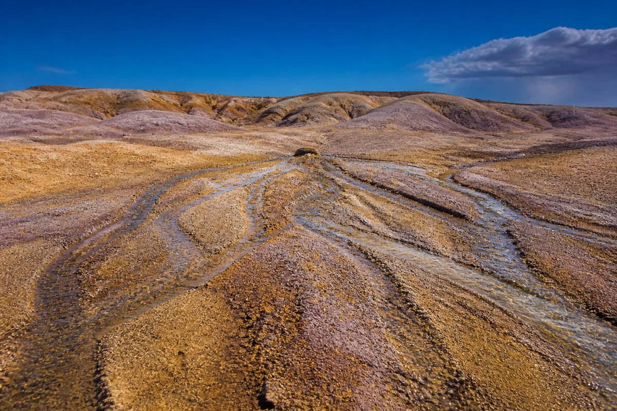In hellen Badlands teilen sich nach einem Sommerregen sieben natürliche Wasserläufe in fließende, feuchte und alte trockene Spuren.